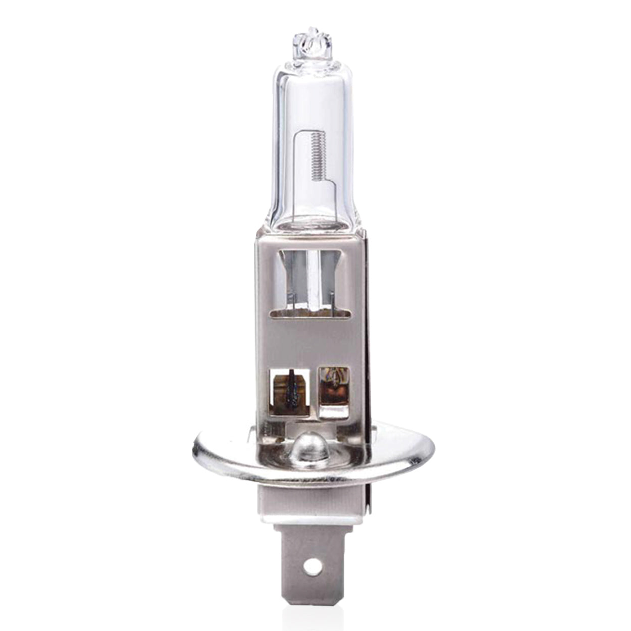 Ampoule halogène H1 de 12 V et 55 W