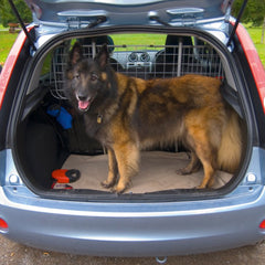 Grille pare-chien universelle Carpoint avec filet 